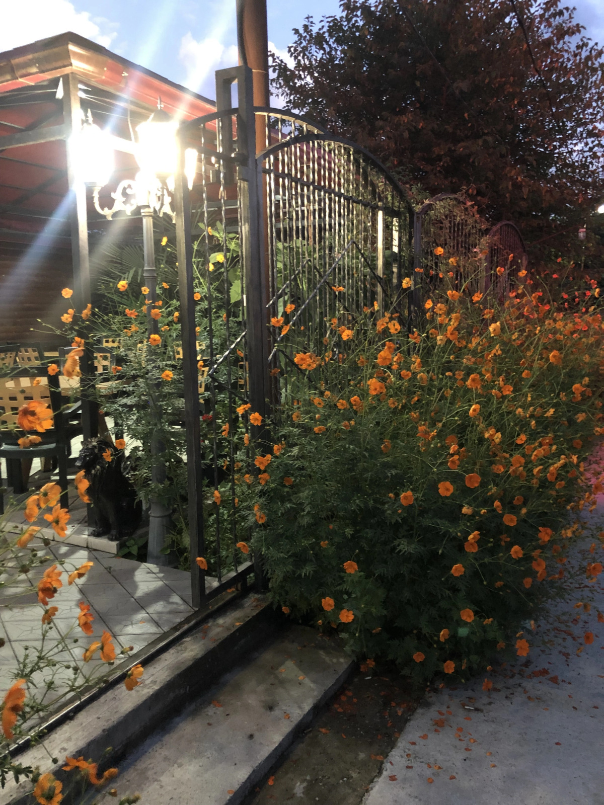 Гостевой дом Морская сказка