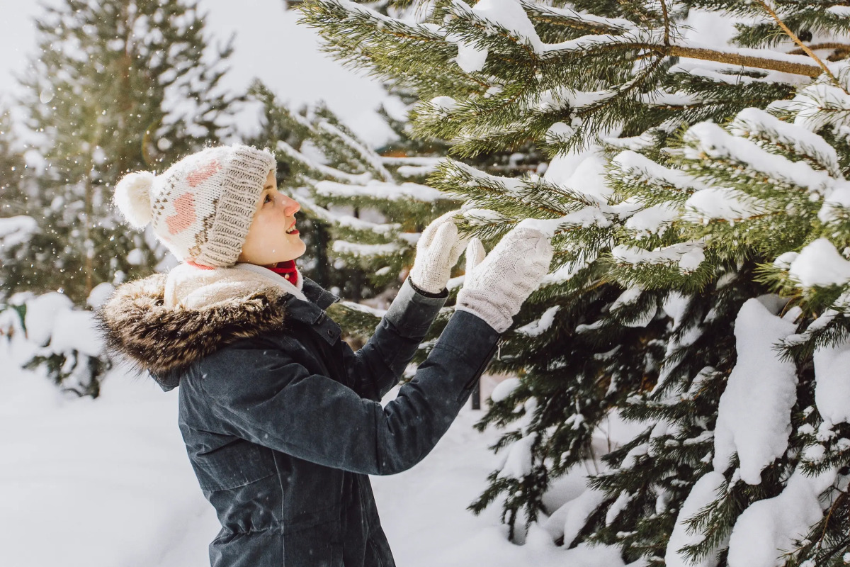 База отдыха Агротуристический комплекс Эль Ранчо
