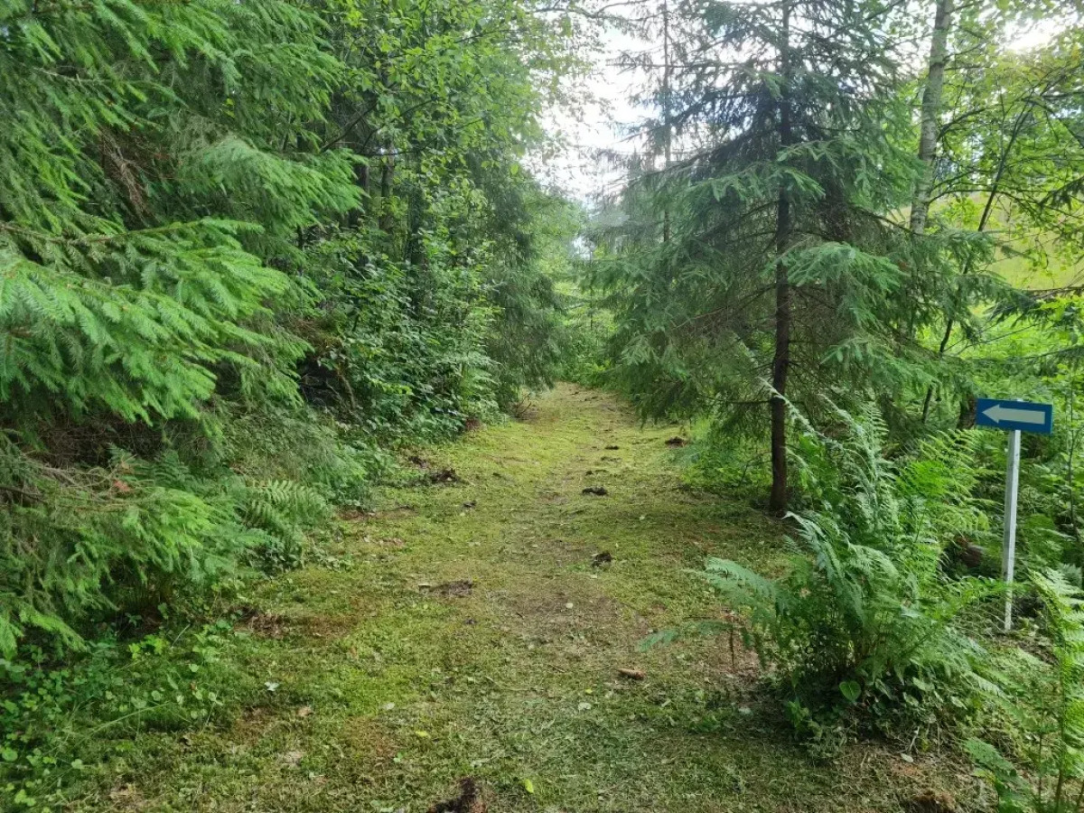 Апартаменты Валдай Пространство мечты 1