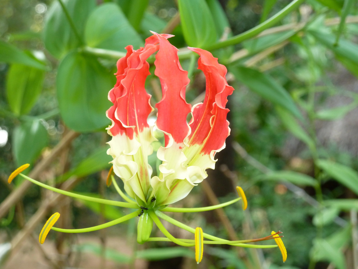 Отель Riviera Resort