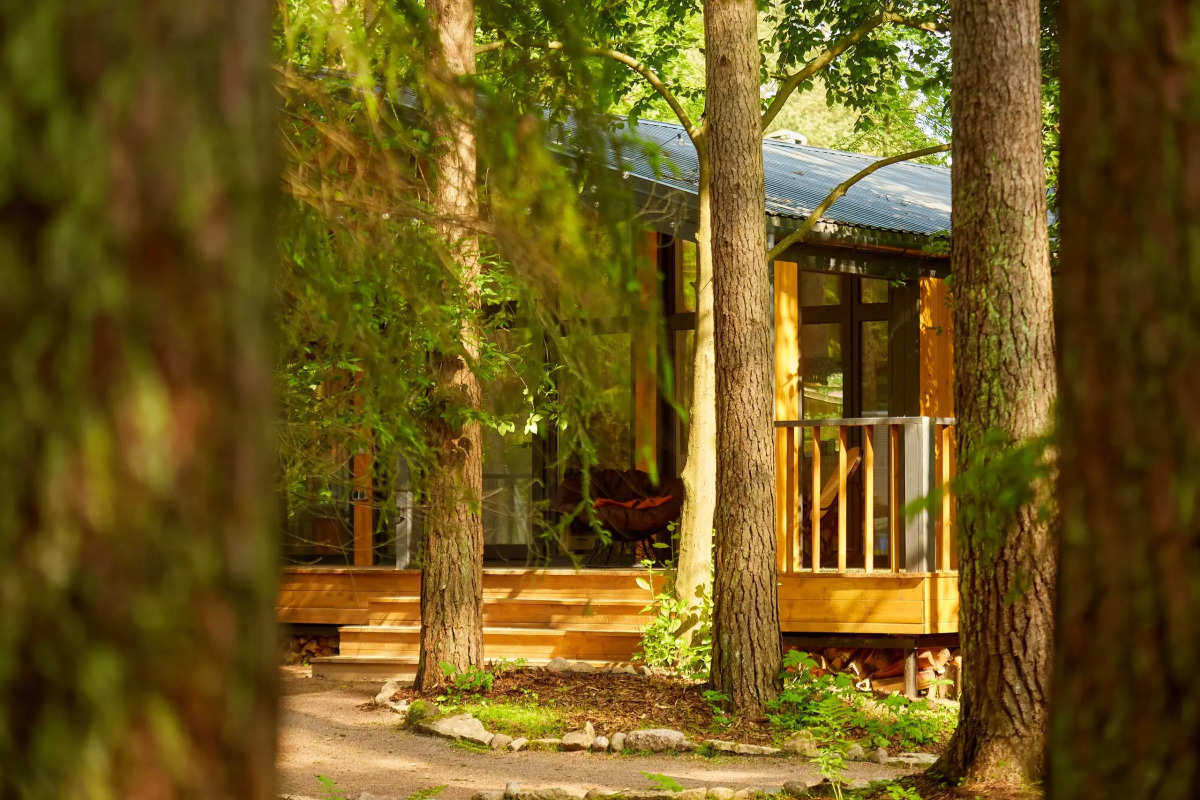 Частный дом Большая Репинская дача в лесу