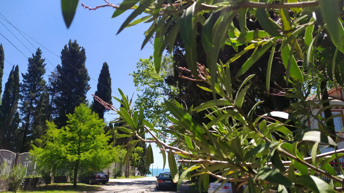 Вилла Dolce Vita Gudauta