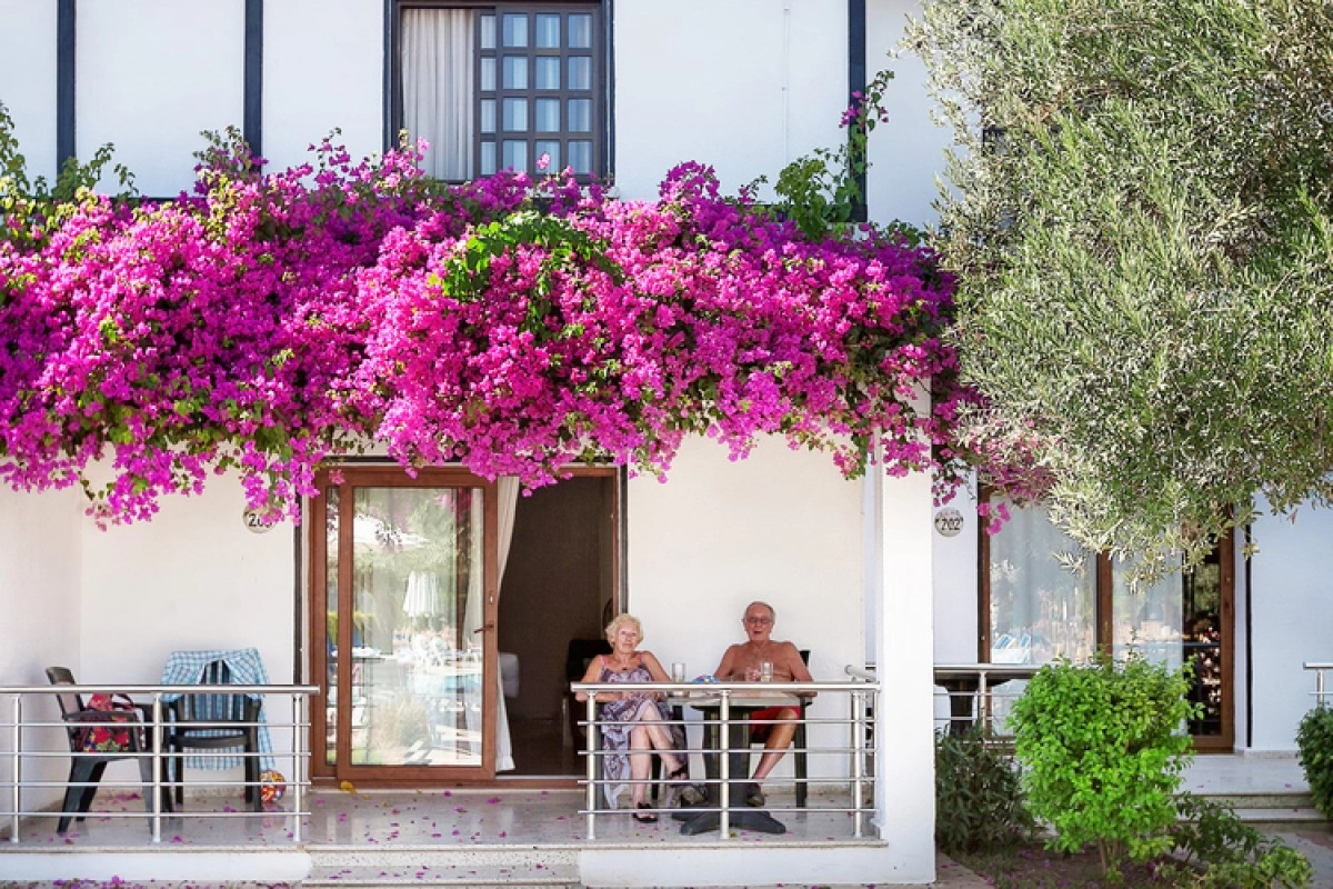 Отель The Ship Inn