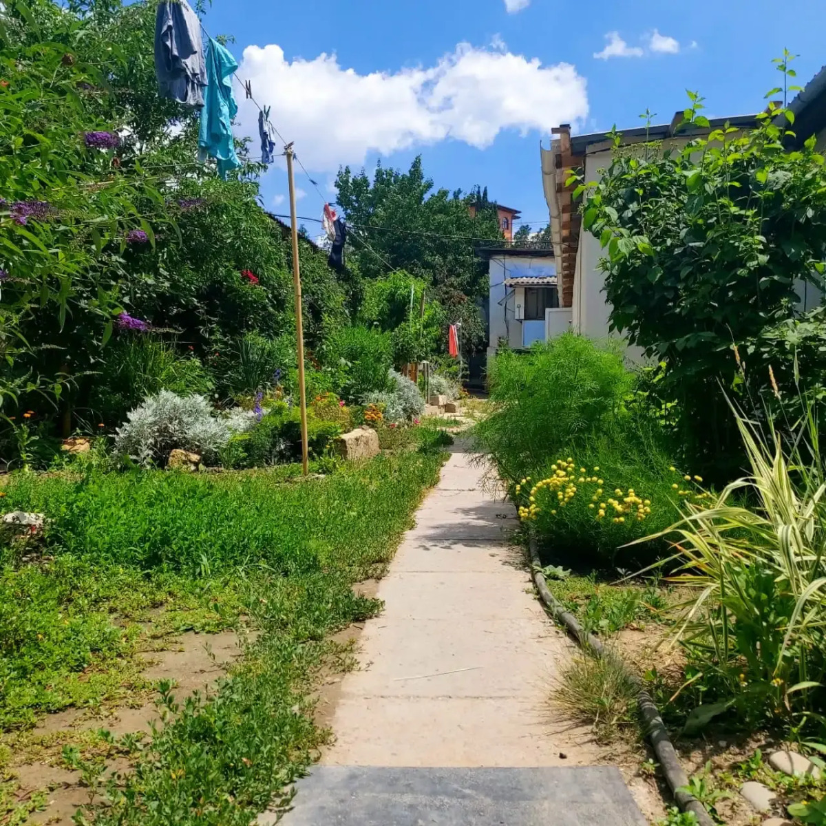 Zolotaya Rybka Sudak