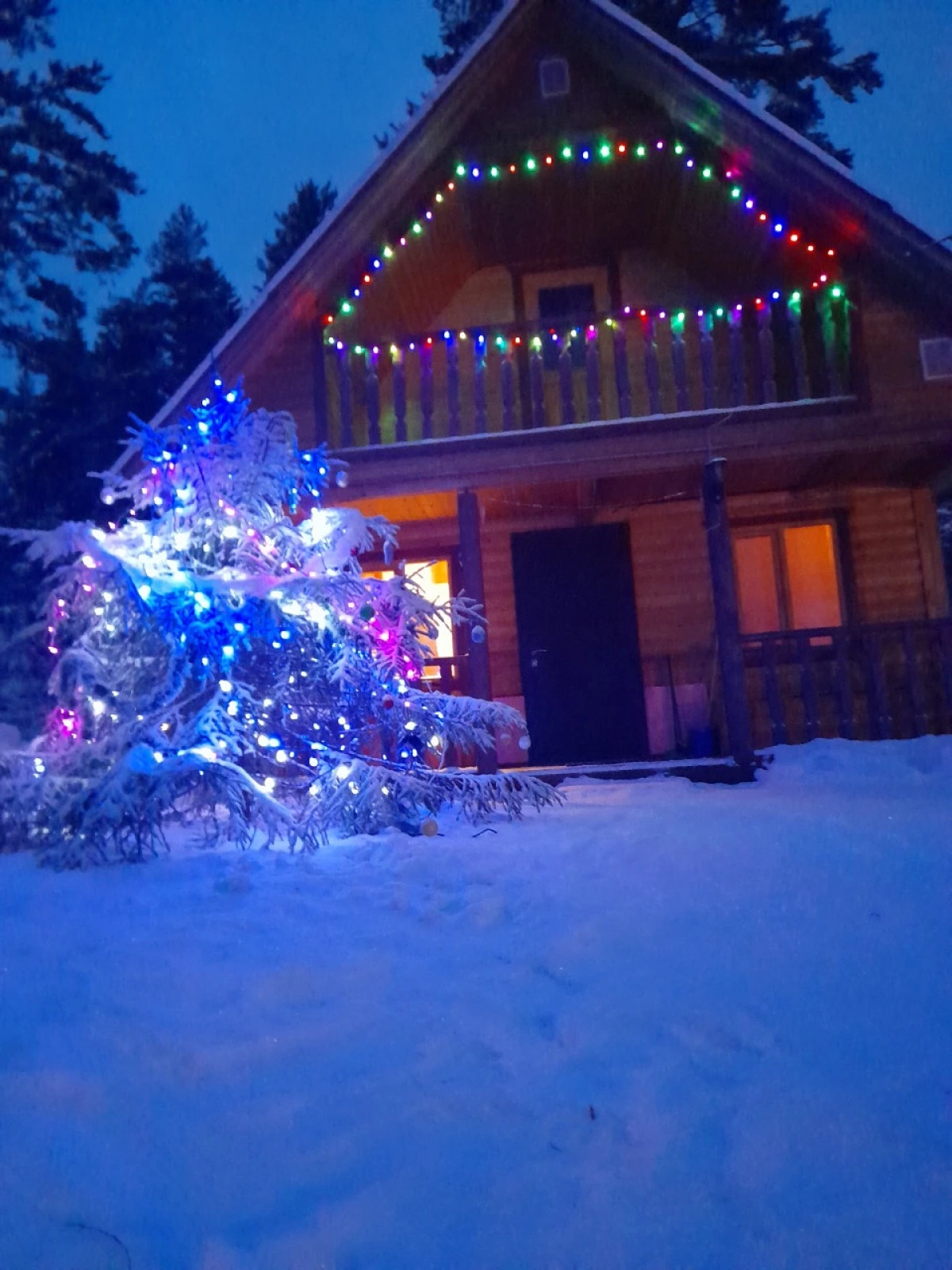 Частный дом Карелия