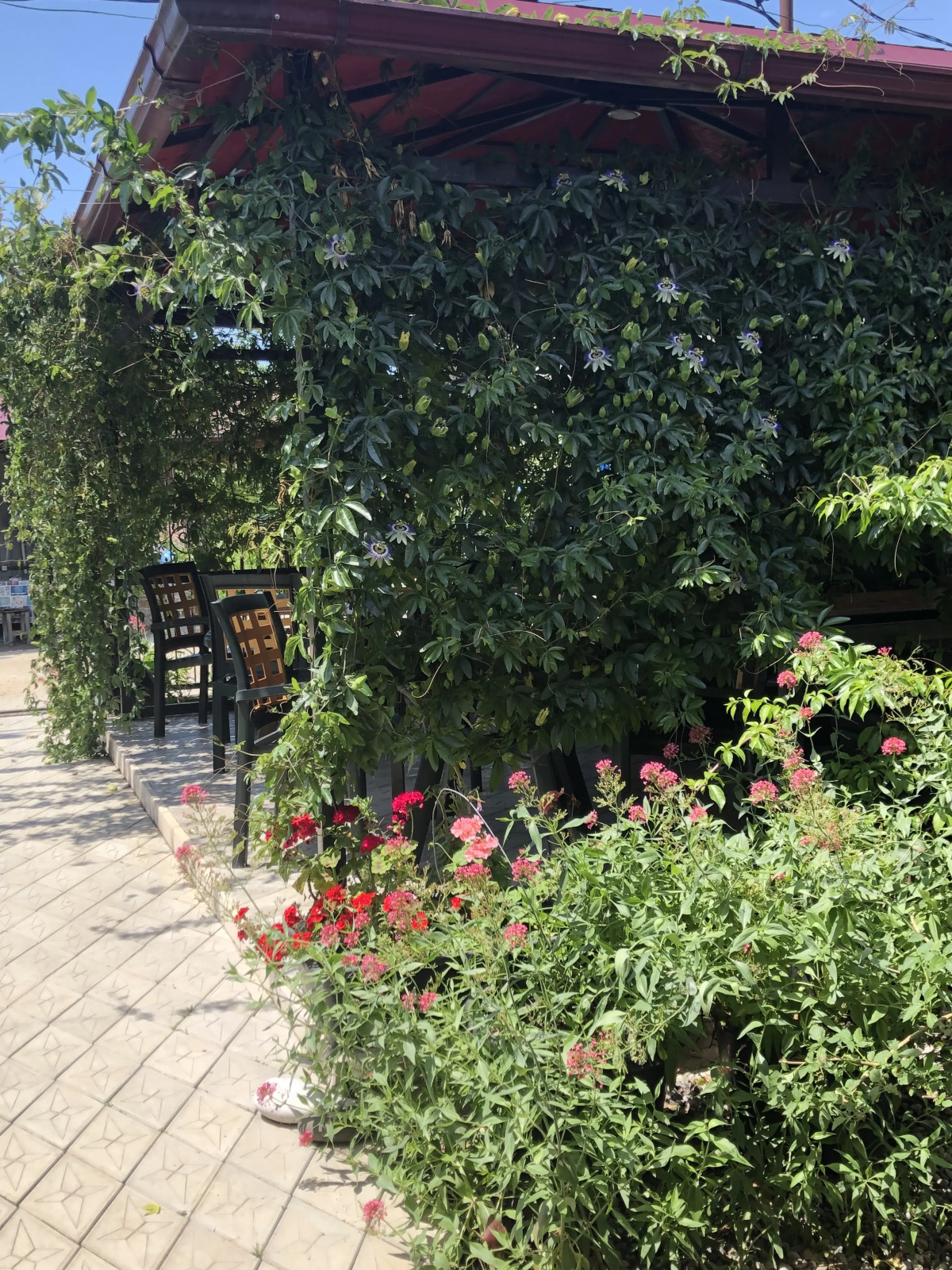 Гостевой дом Морская сказка