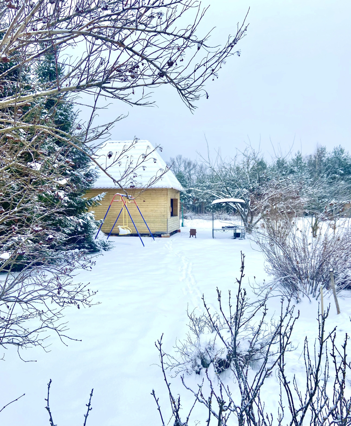 Частный Дом Гостевой Дом Pine Housе