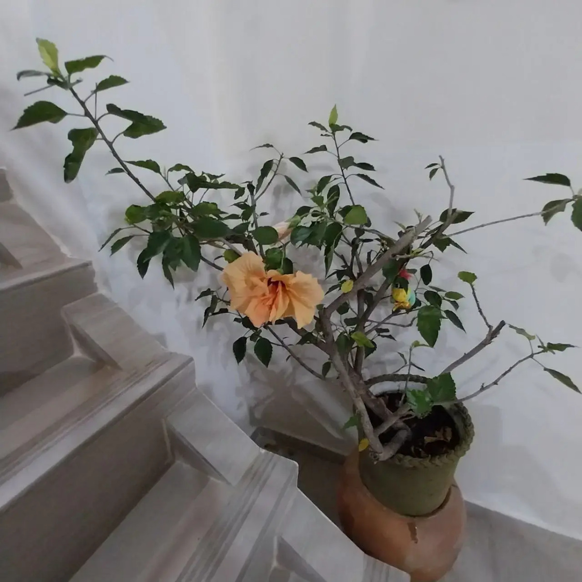 Гостевой дом Горница