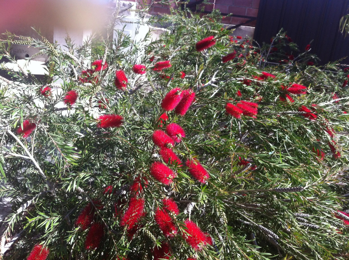 Гостевой Дом СВ