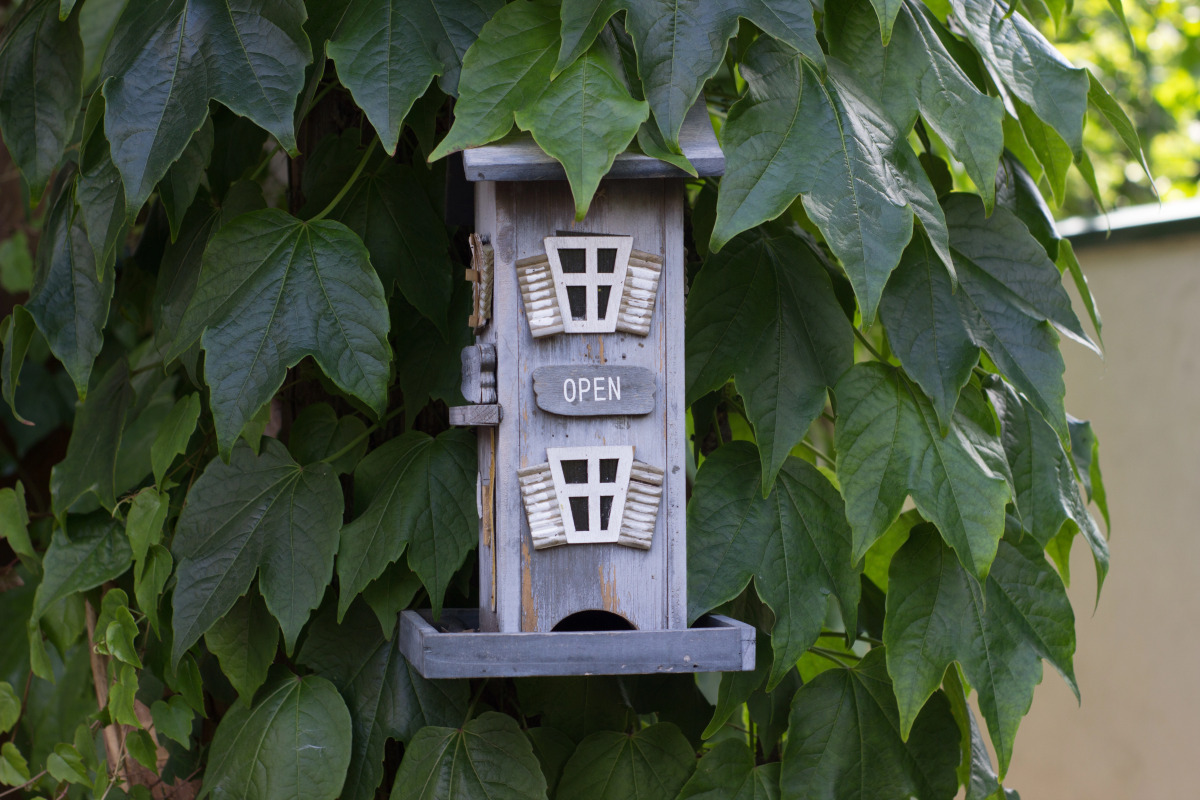 Отель Рай-Ski Домик