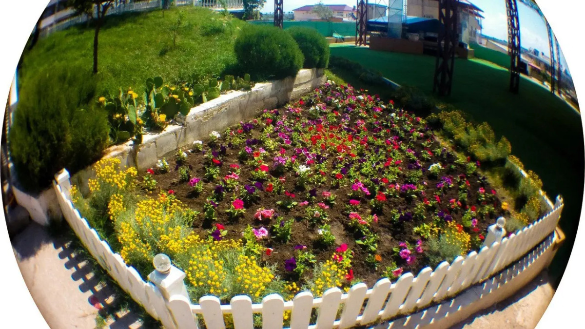 Апартаменты Звездный Берег