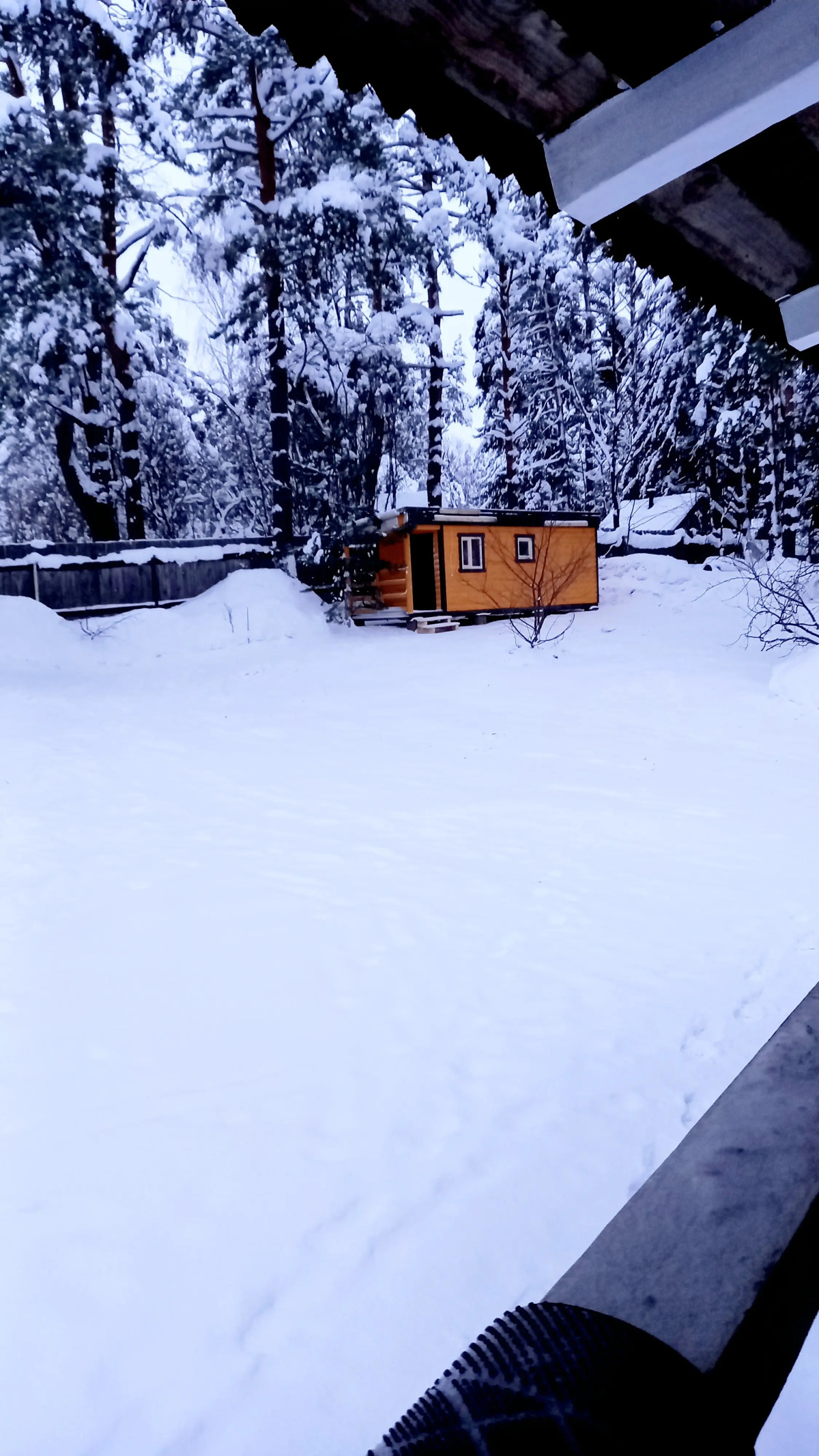 Дом у сосен