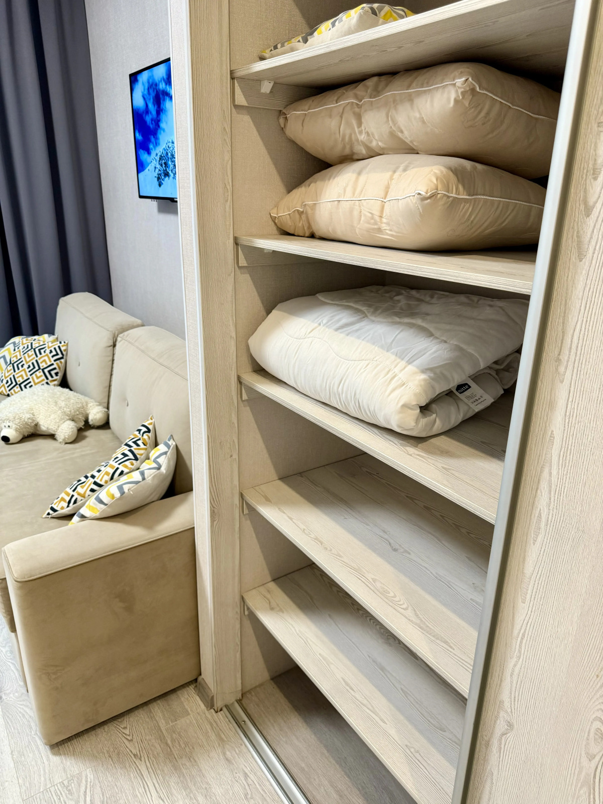 Апартаменты в центре Москвы