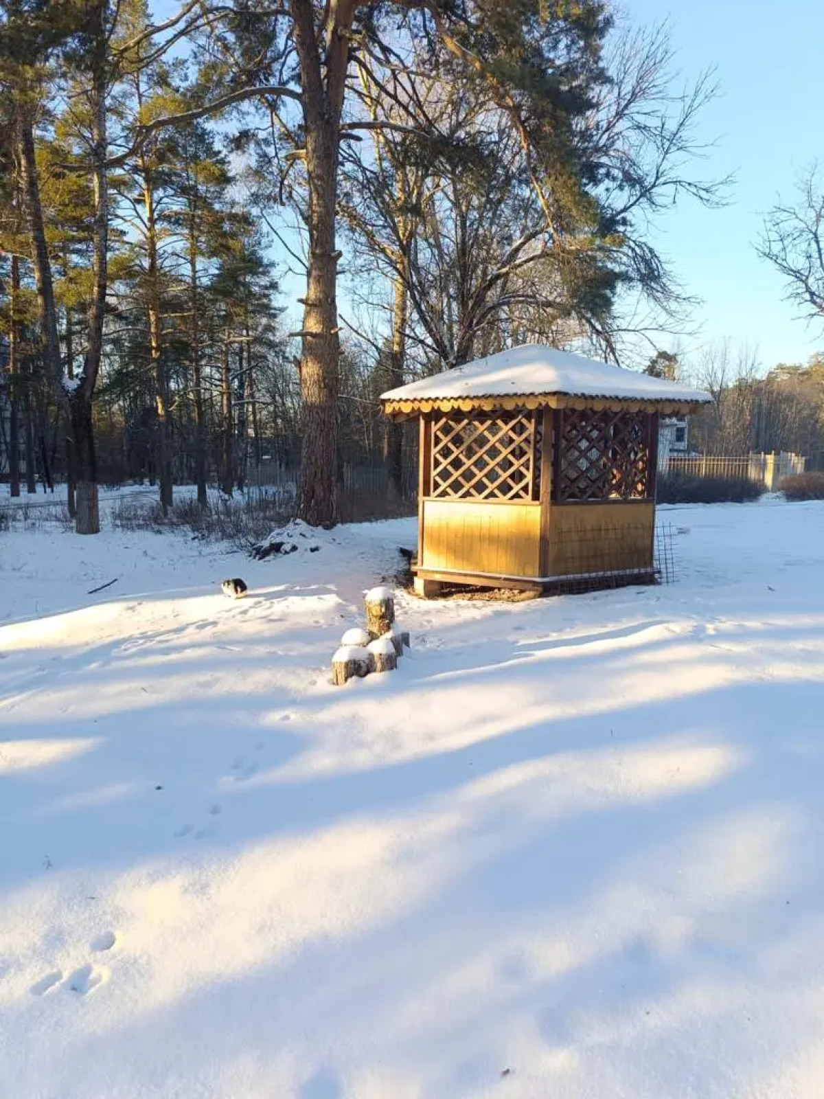 Отель Сосновый бор