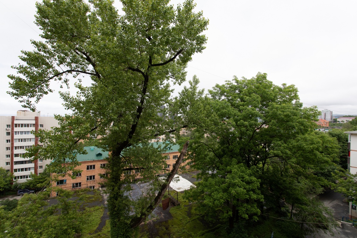 Апартаменты NOVA Партизанский проспект, 3