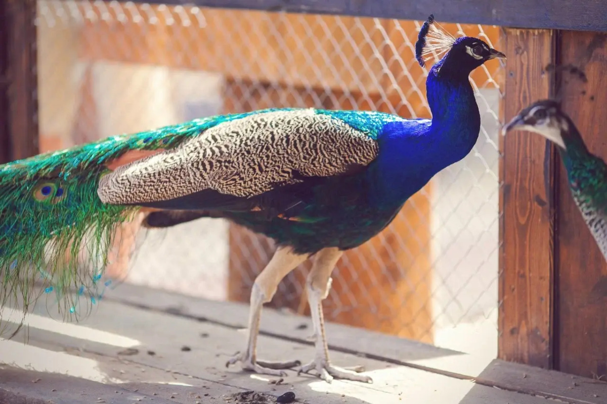 Отель Яхонты Ногинск