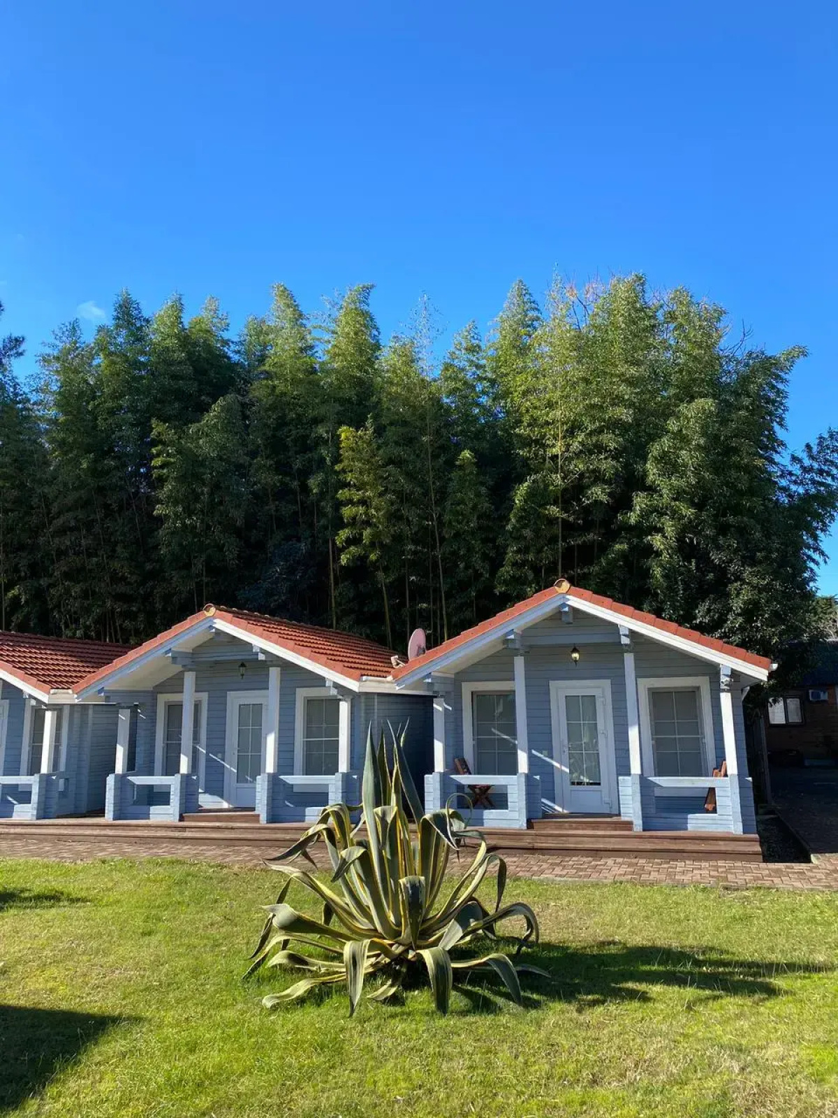 Гостевой дом Ласточка Роща