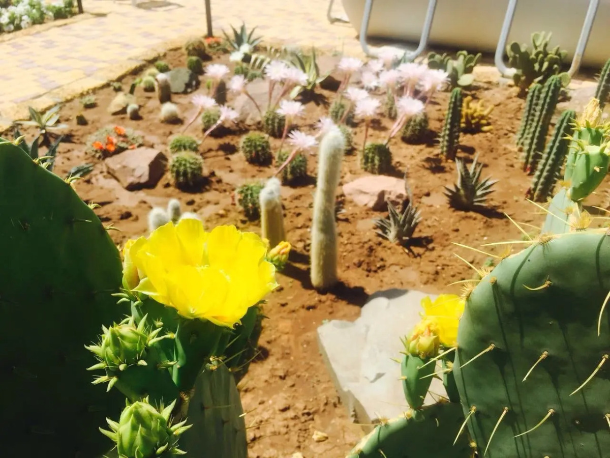 Отель Gala Paradise