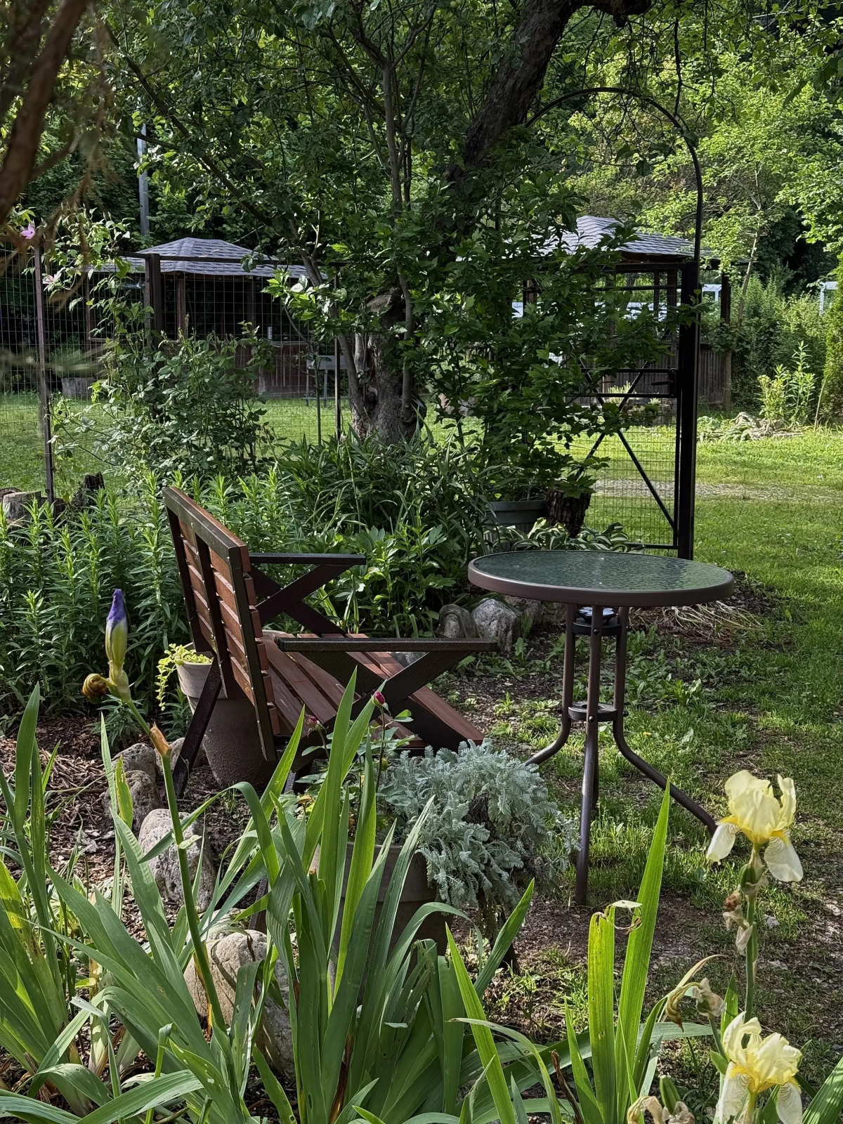 Гостевой дом Горная Лаванда