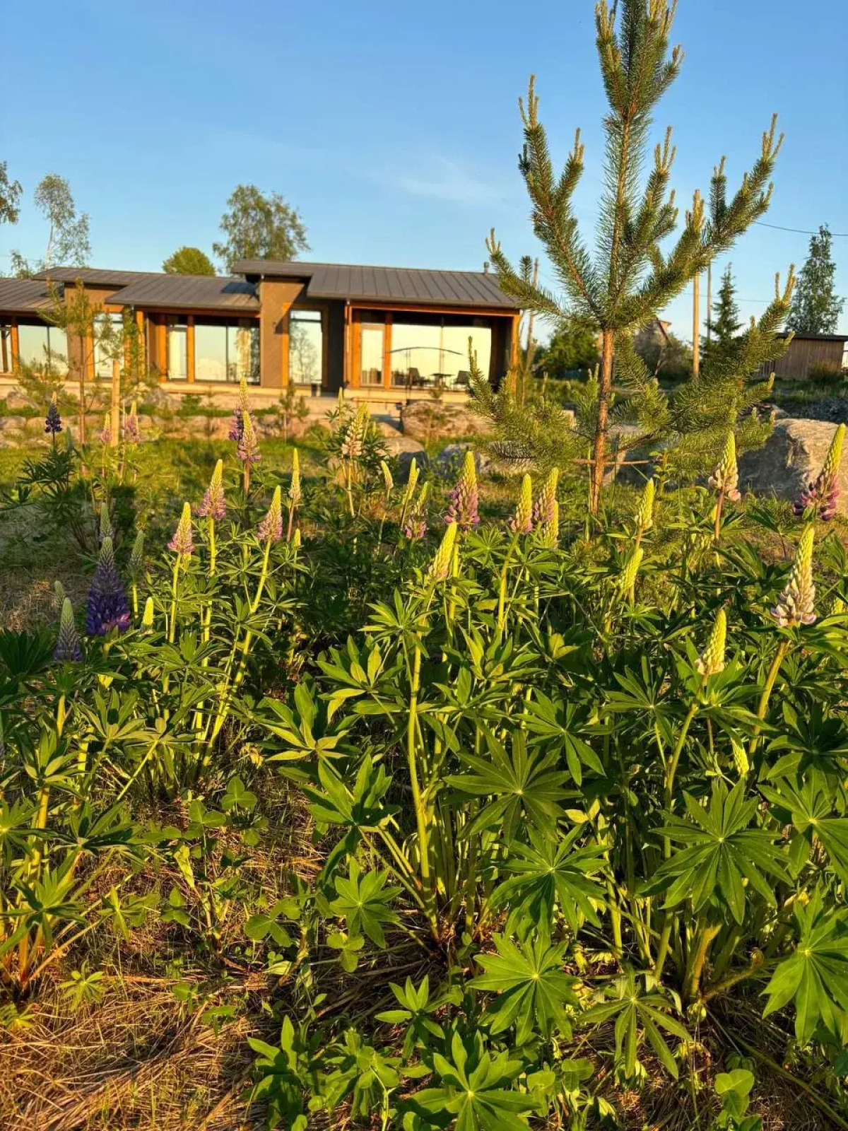 Гостевой Дом О'Берег