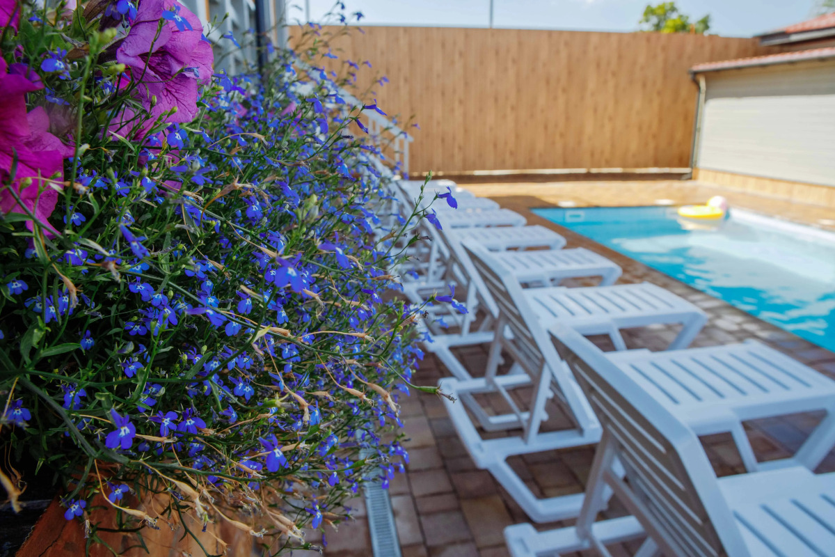 Гостевой дом Villa Viola