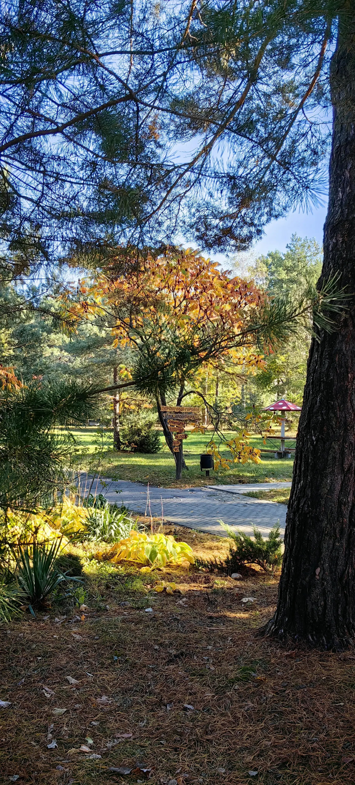 База отдыха Парк Полянка