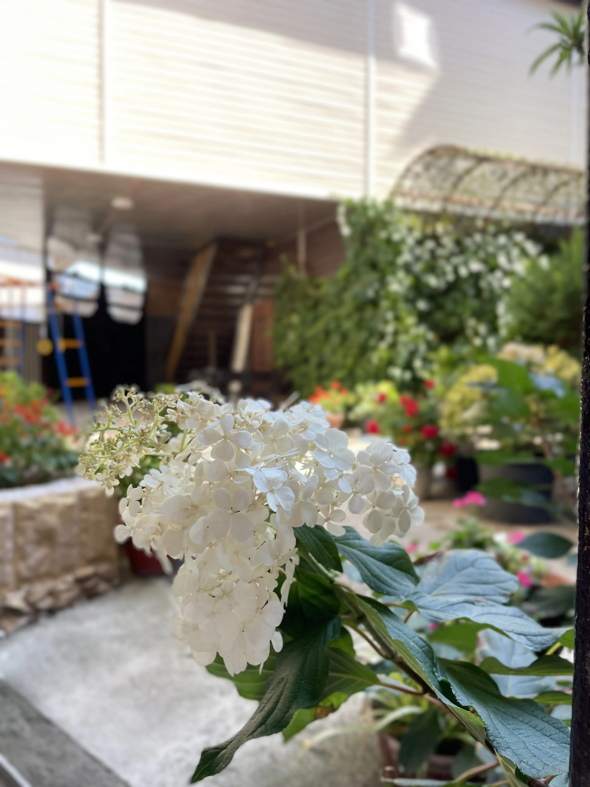 Аллегро Хоум