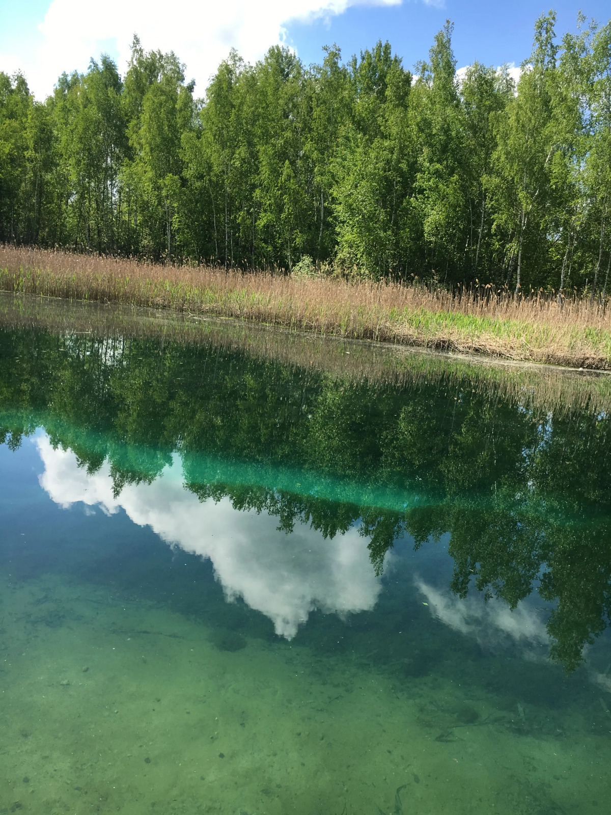 Загородный клуб Владимир