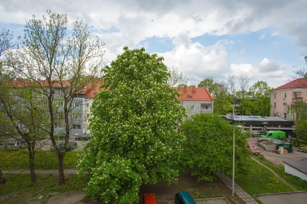 Апартаменты Леона напротив зоопарка