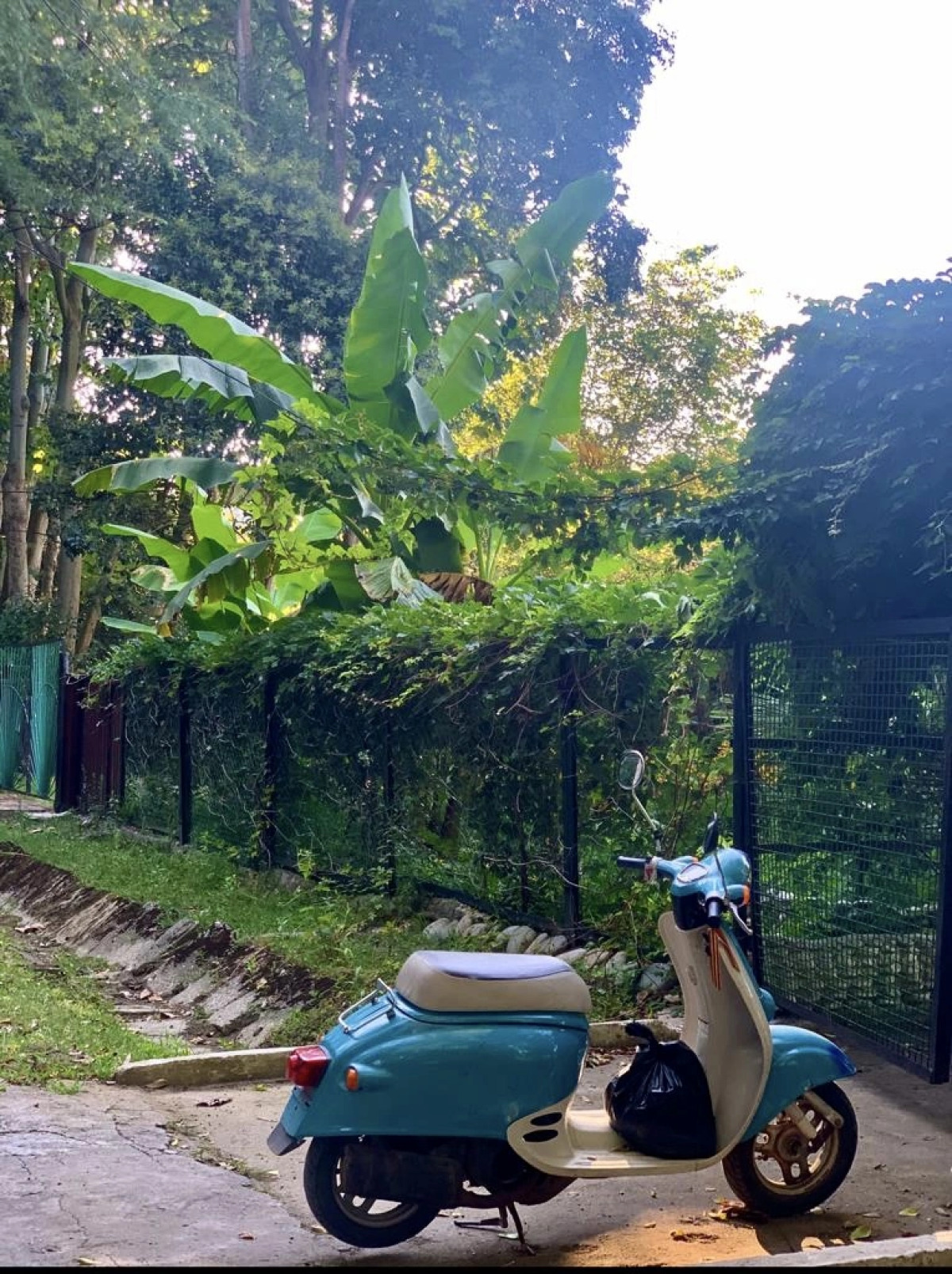 Отель Ривьера