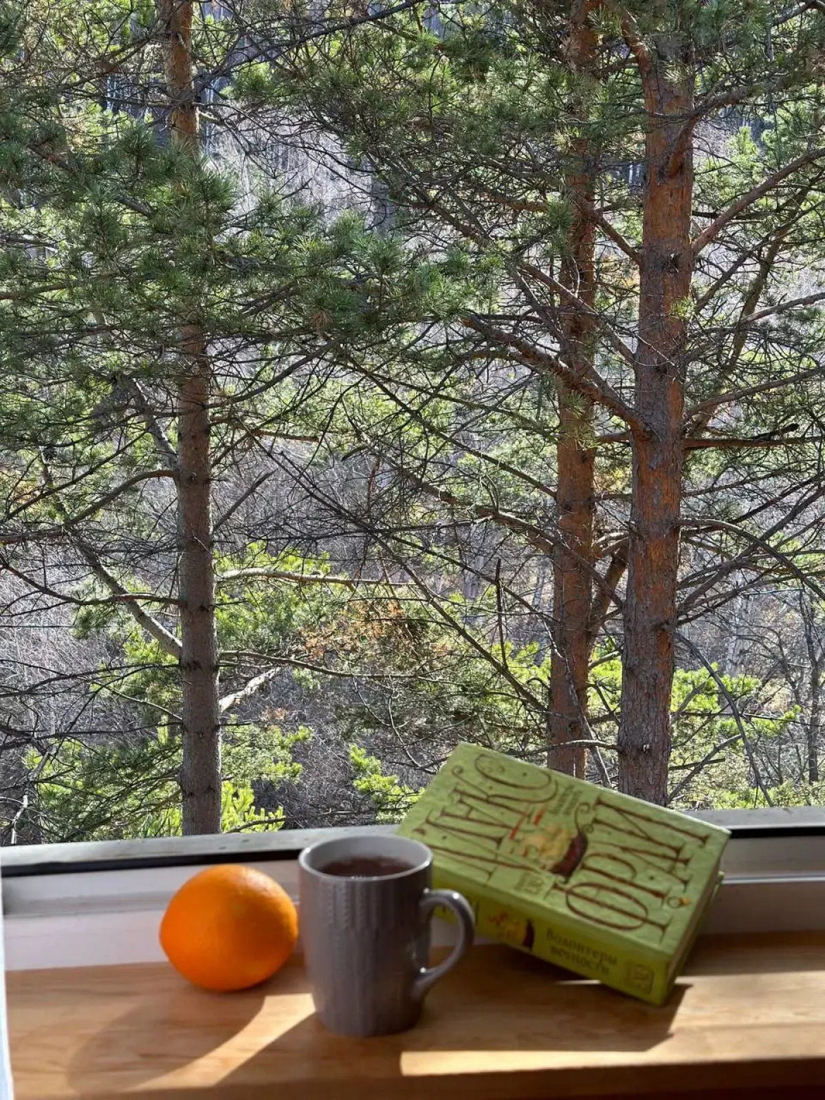 Гостевой дом FOREST TRAIL