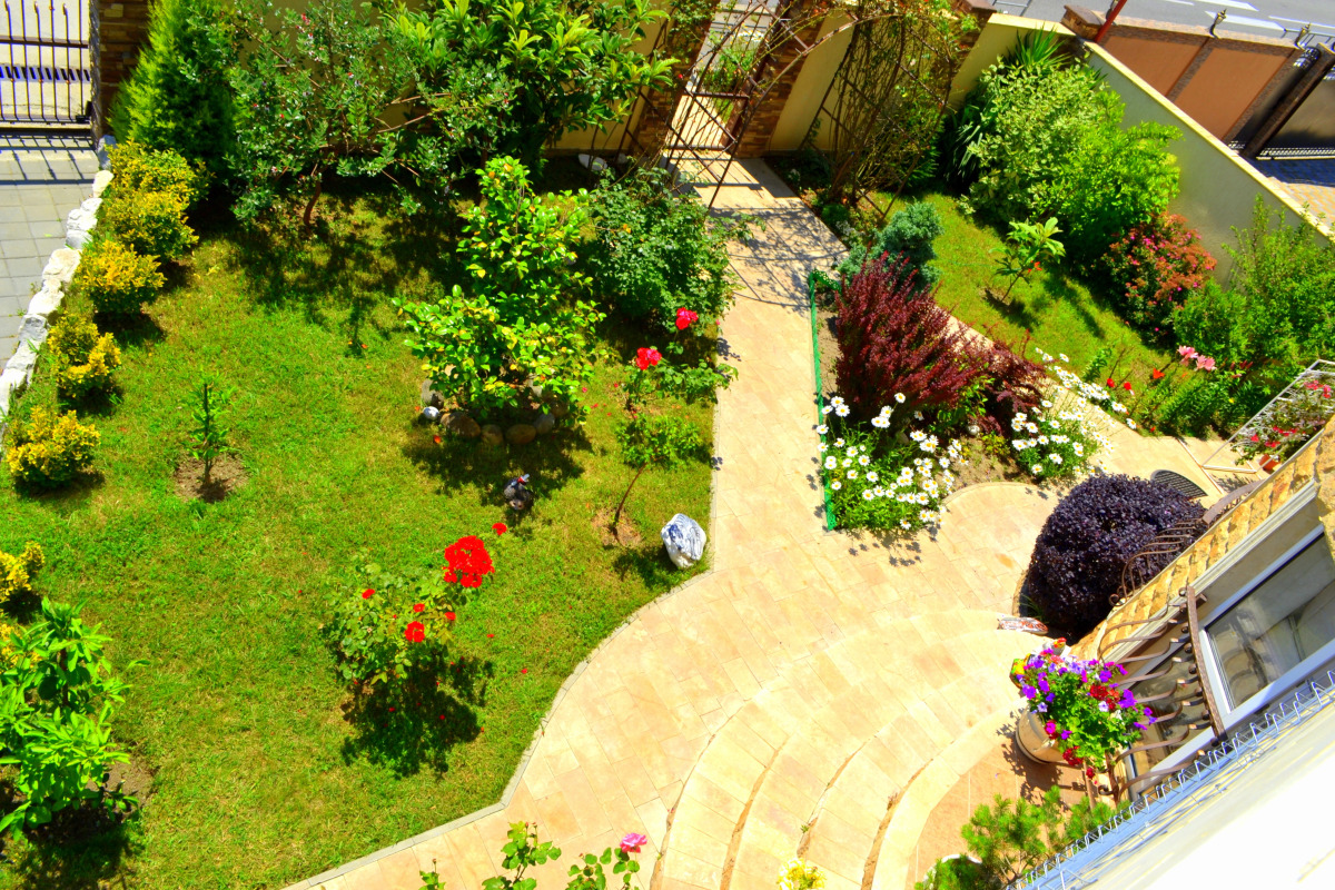 Аристократ (Сириус)