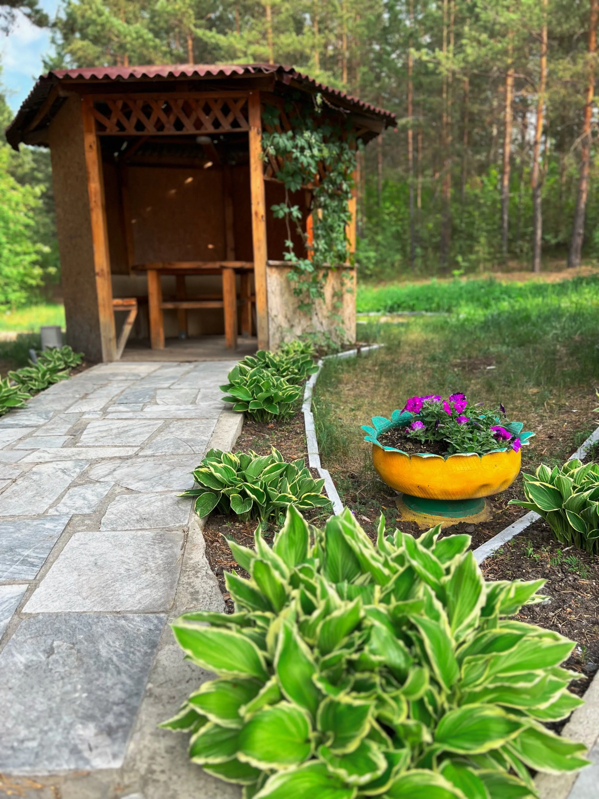 Отель Колизей