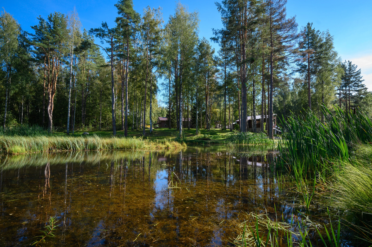Гостевой дом Хутор Вилппула