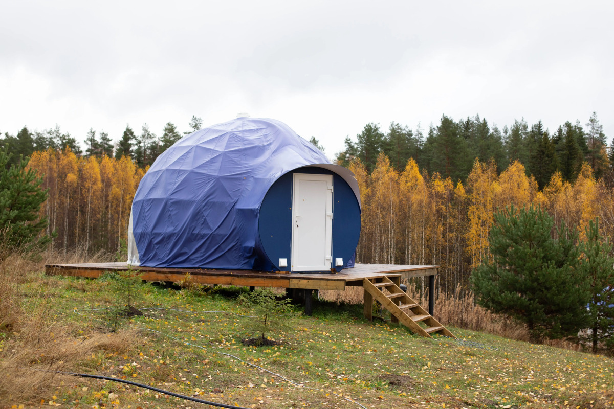 Глэмпинг Папоротник