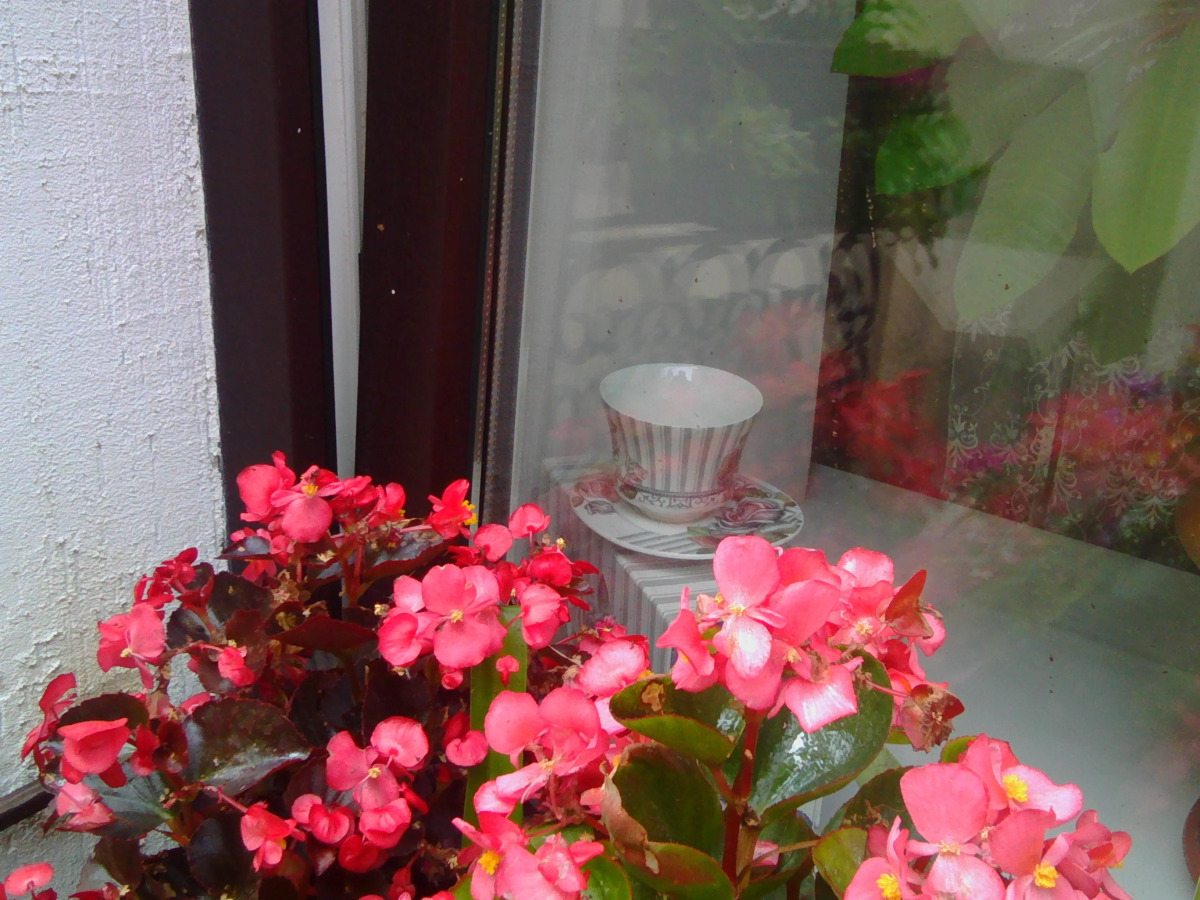 Мини-отель Губерния