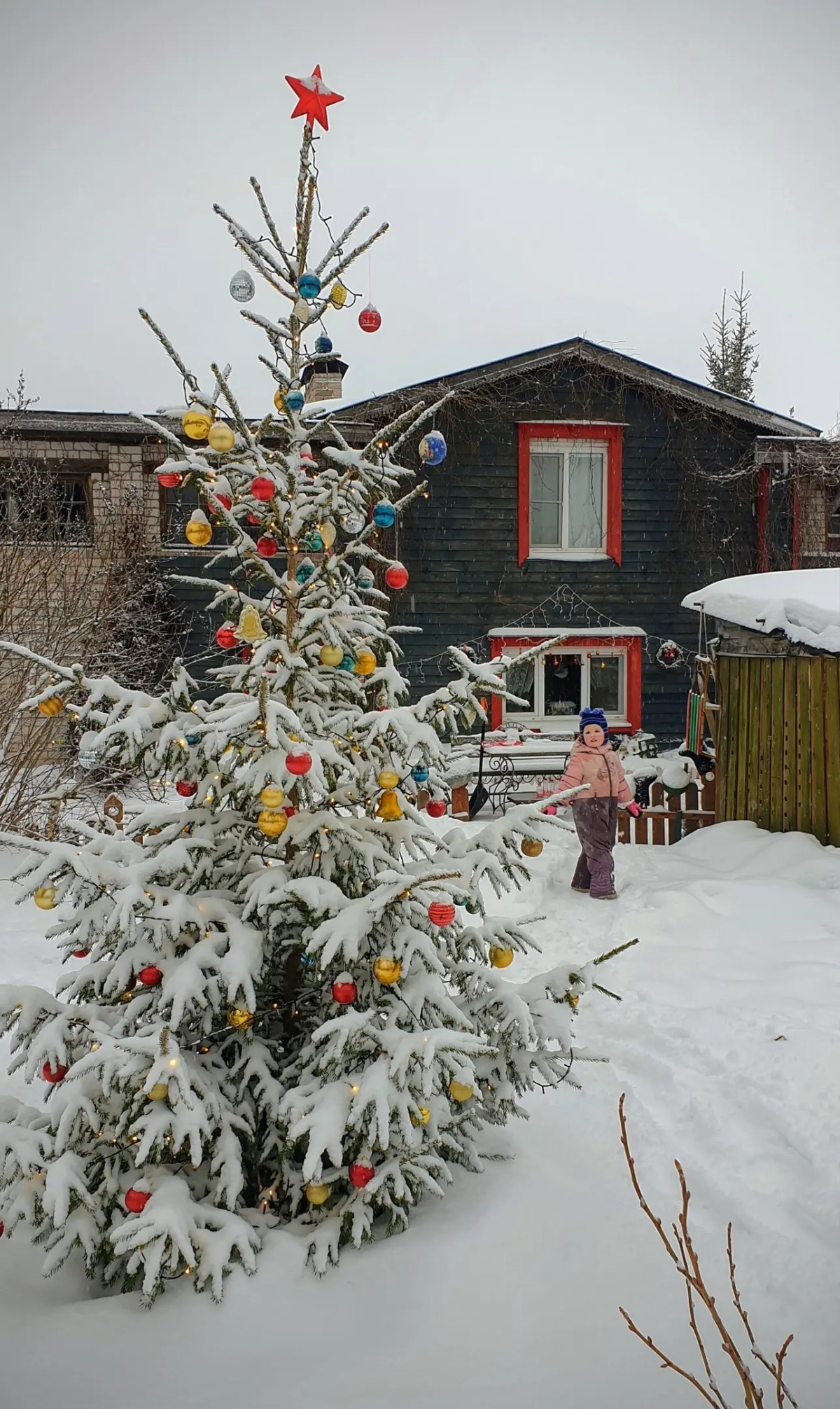 Гостевой дом Лосиный Тупичок