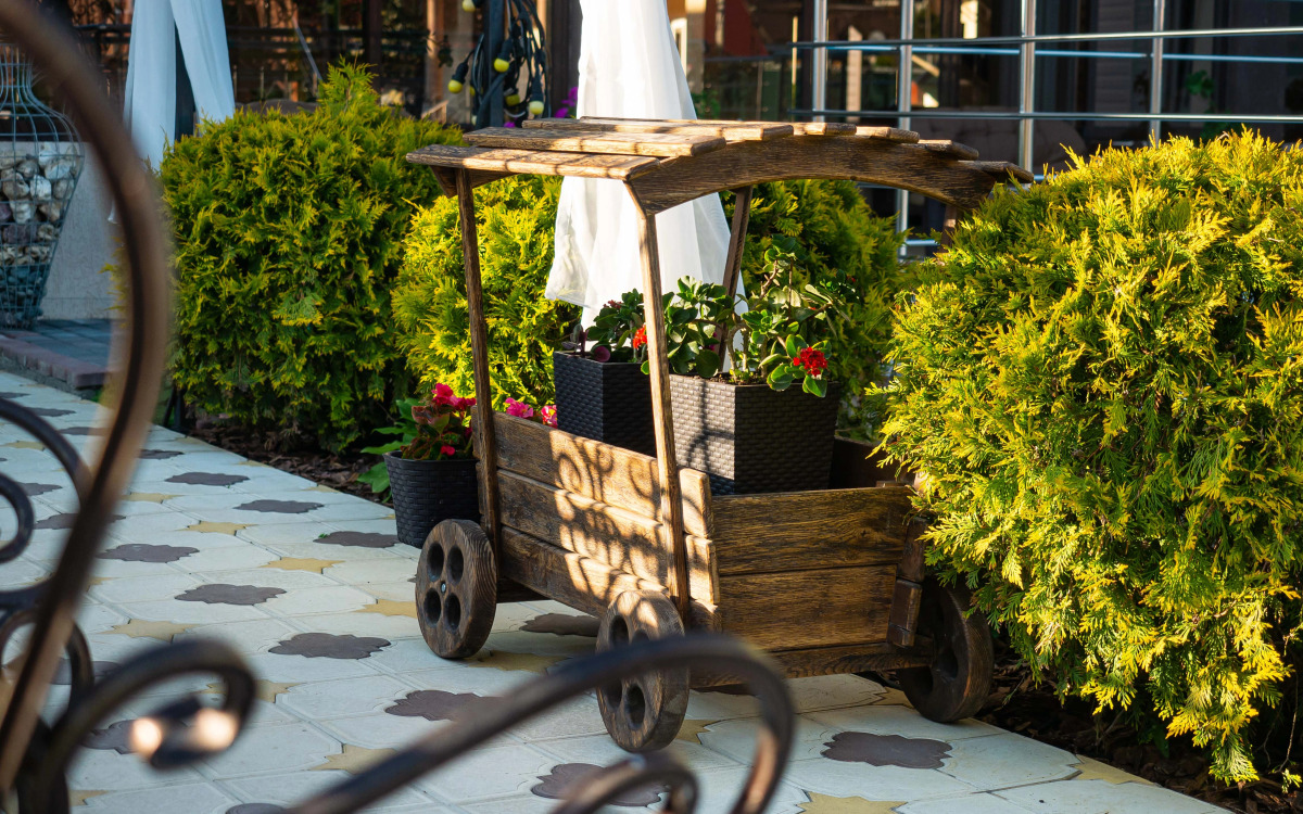 Отель Анютины Глазки