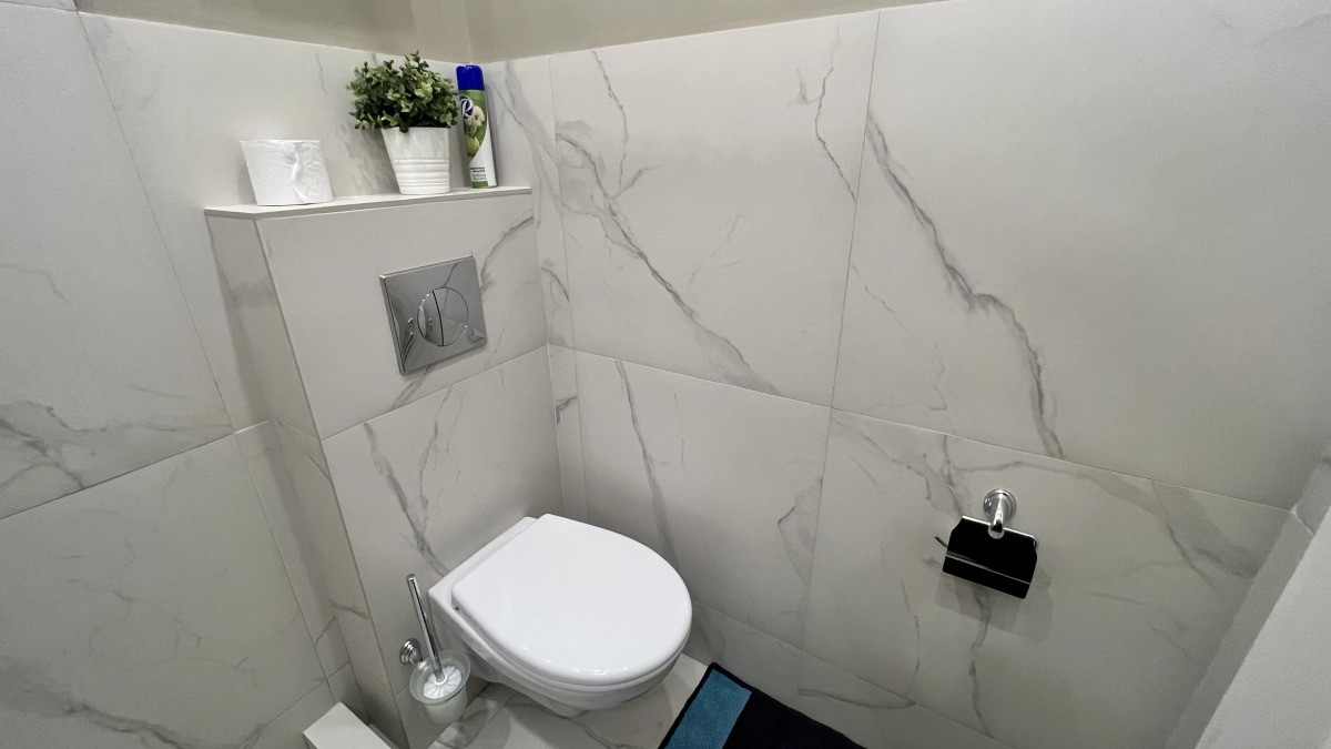 Апартаменты Серебрянический (7)