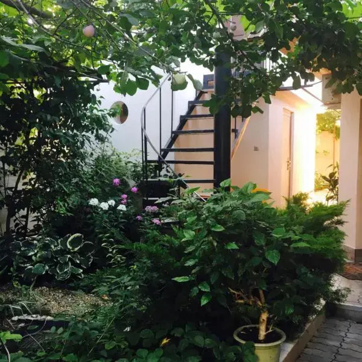 Гостевой дом Тенистый дворик