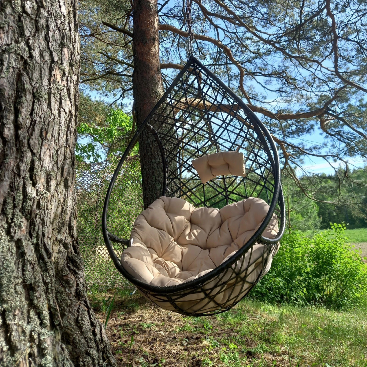 Гостевой дом Под соснами
