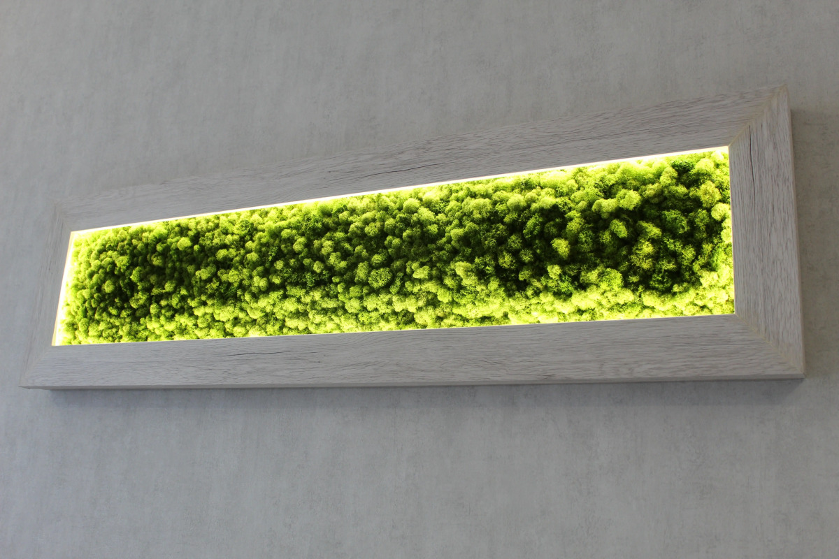 Отель Valeri Classic