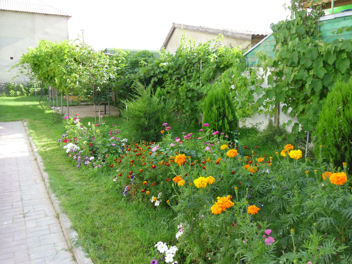 Guest House KrymVodoley