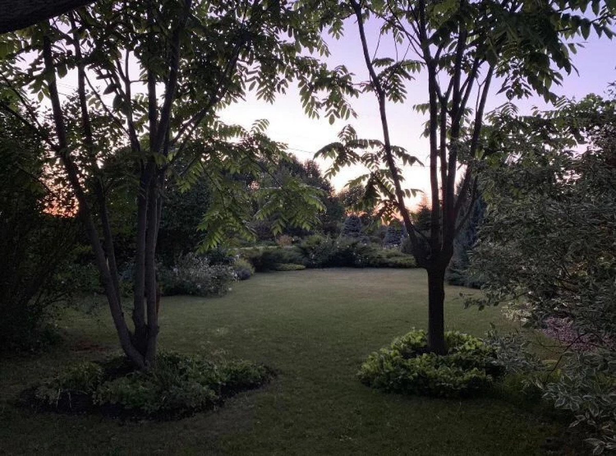 Вилла Ларсон