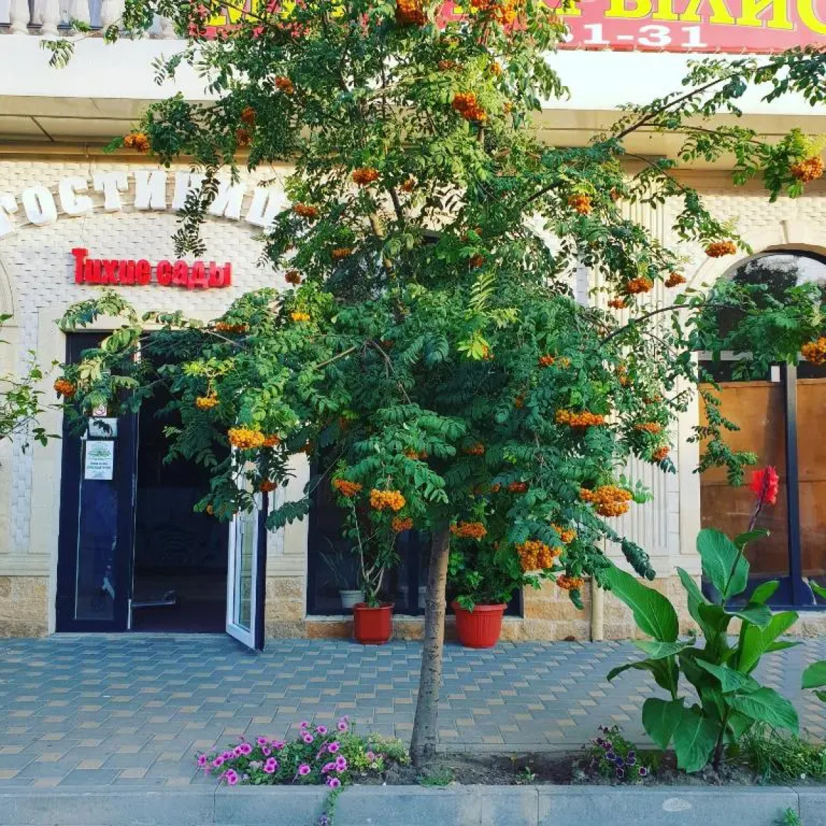 Отель Тихие Сады