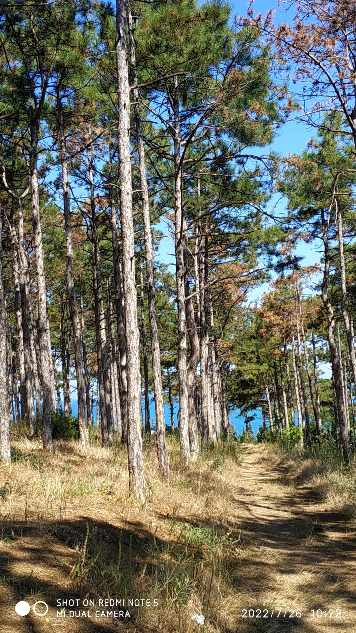 Гостевой дом Наша Дача