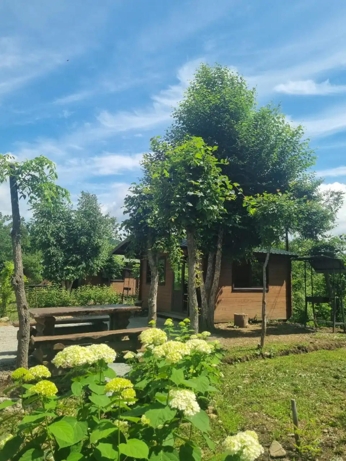 База отдыха парк отдыха Лесное озеро