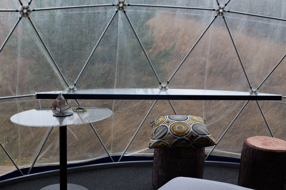 Глэмпинг Папоротник