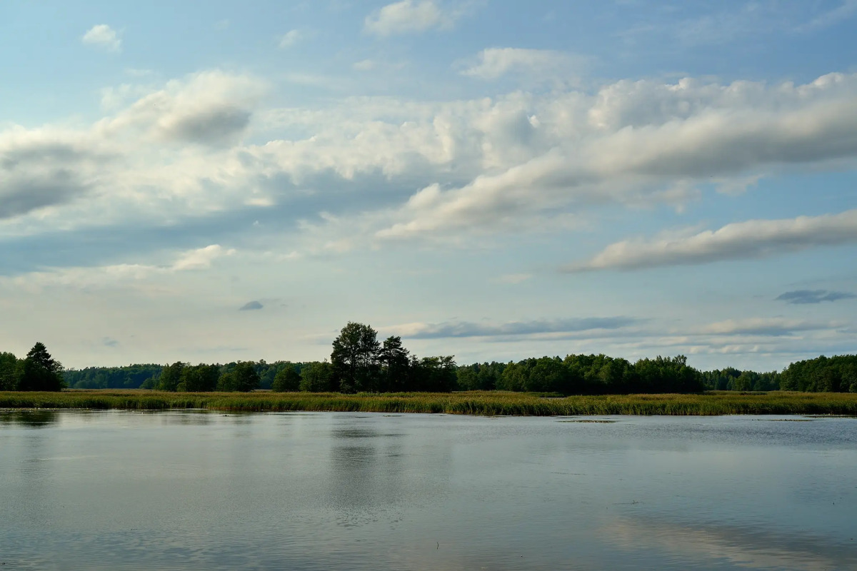 Шале Convallaria