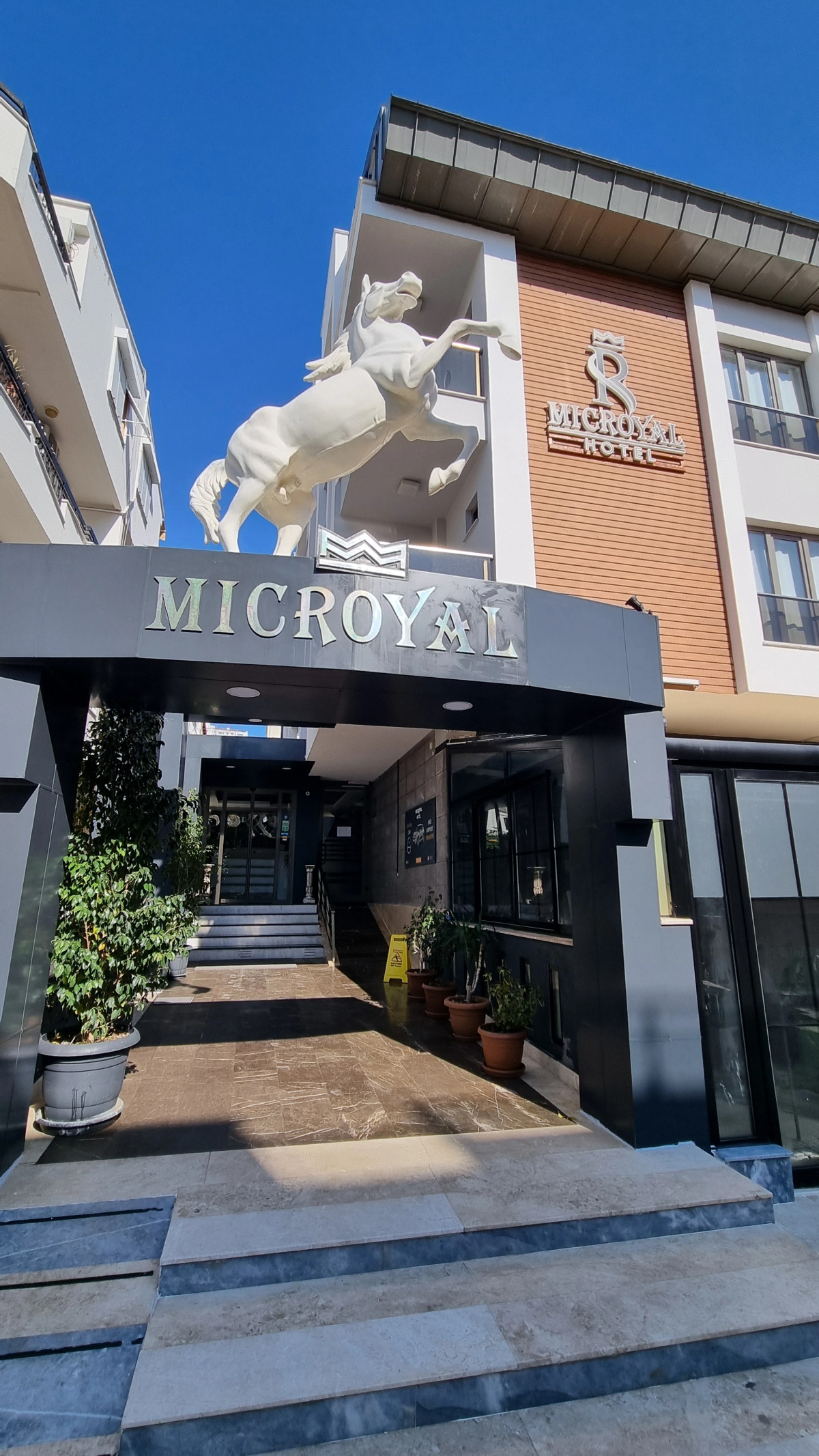 Отель Mic Royal